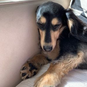 Meet your Posher, Keri